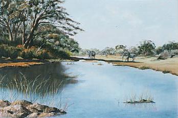 African Elephant at Waterhole