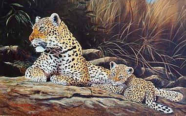 Leopard and Cub