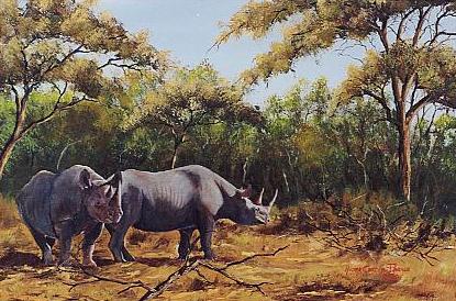 Rhino in the Bush