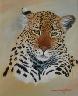 Leopard Portrait