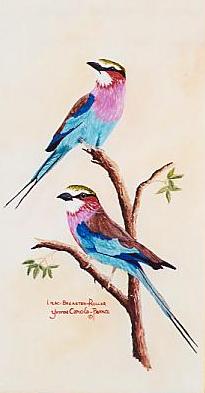 Lilac Breasted Roller
