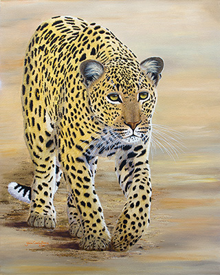 Leopard on the Prowl