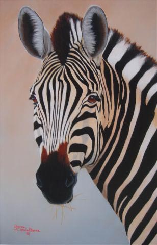 Zebra