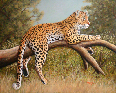 Leopard on Tree