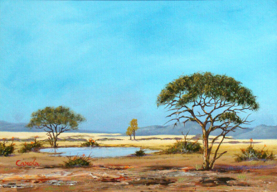 Letaba. Kruger Park. African Bushveld