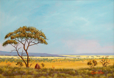 Skukuza. Kruger Park.  African Bushveld