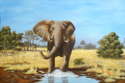 African Elephant